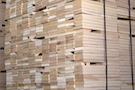 Core for multilayer parquet or multilayer boards